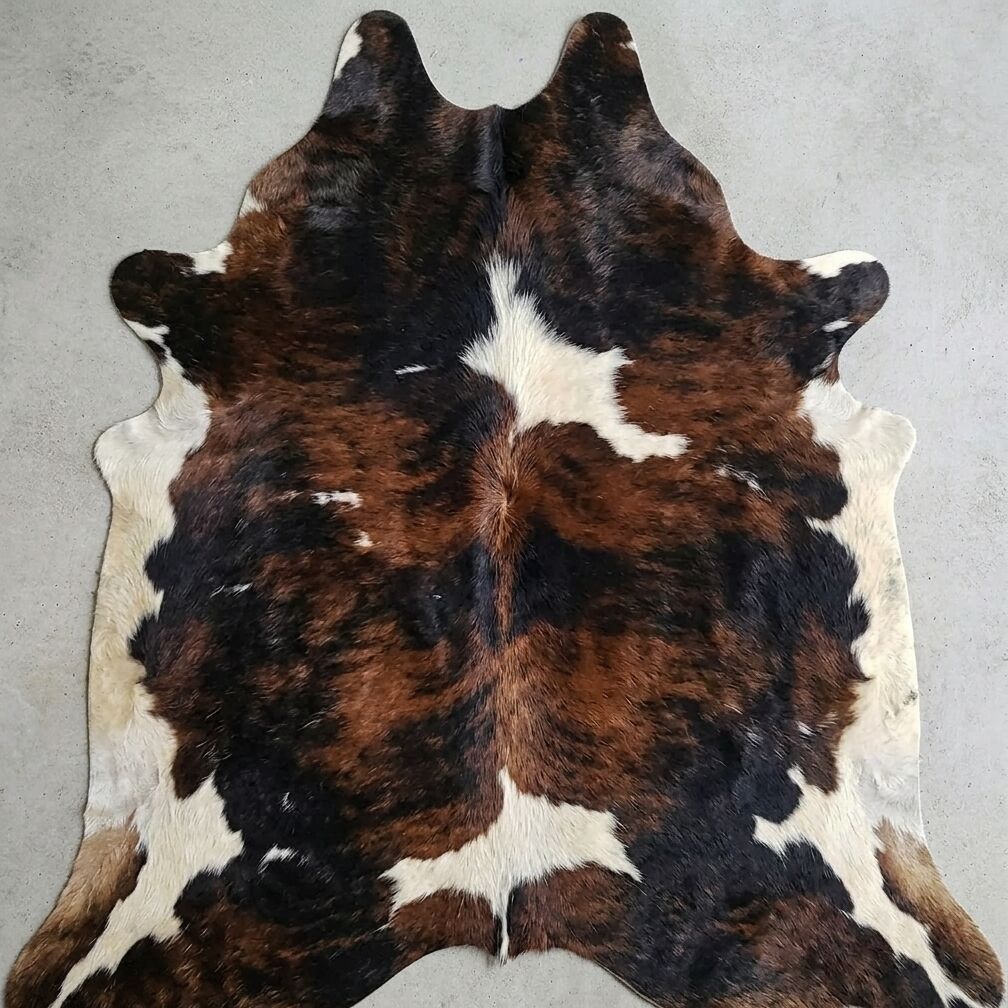 Grande peau de vache brun foncé sur un sol clair.