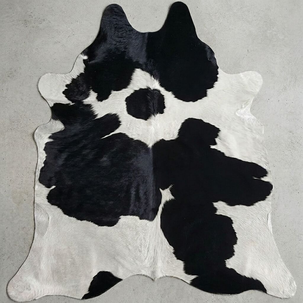 Peau de vache noire et blanche sur un sol clair.